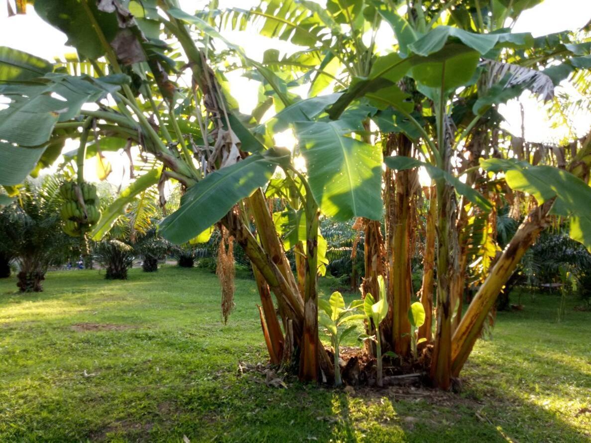 Baan Reenaa Lanta Ko Lanta エクステリア 写真