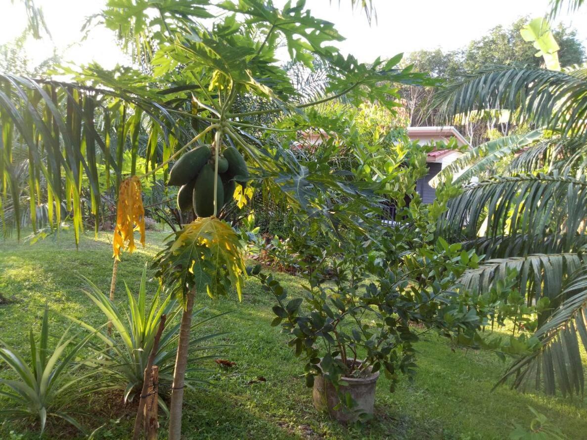 Baan Reenaa Lanta Ko Lanta エクステリア 写真